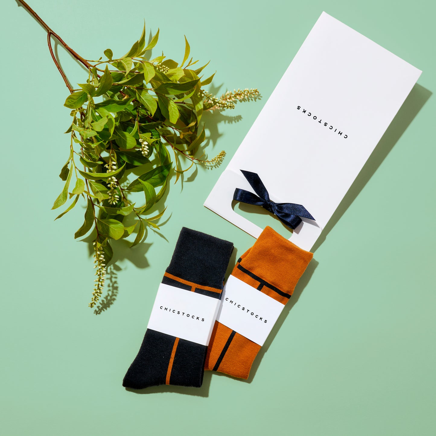 ラインソックス 2足ギフトバッグ 全8色