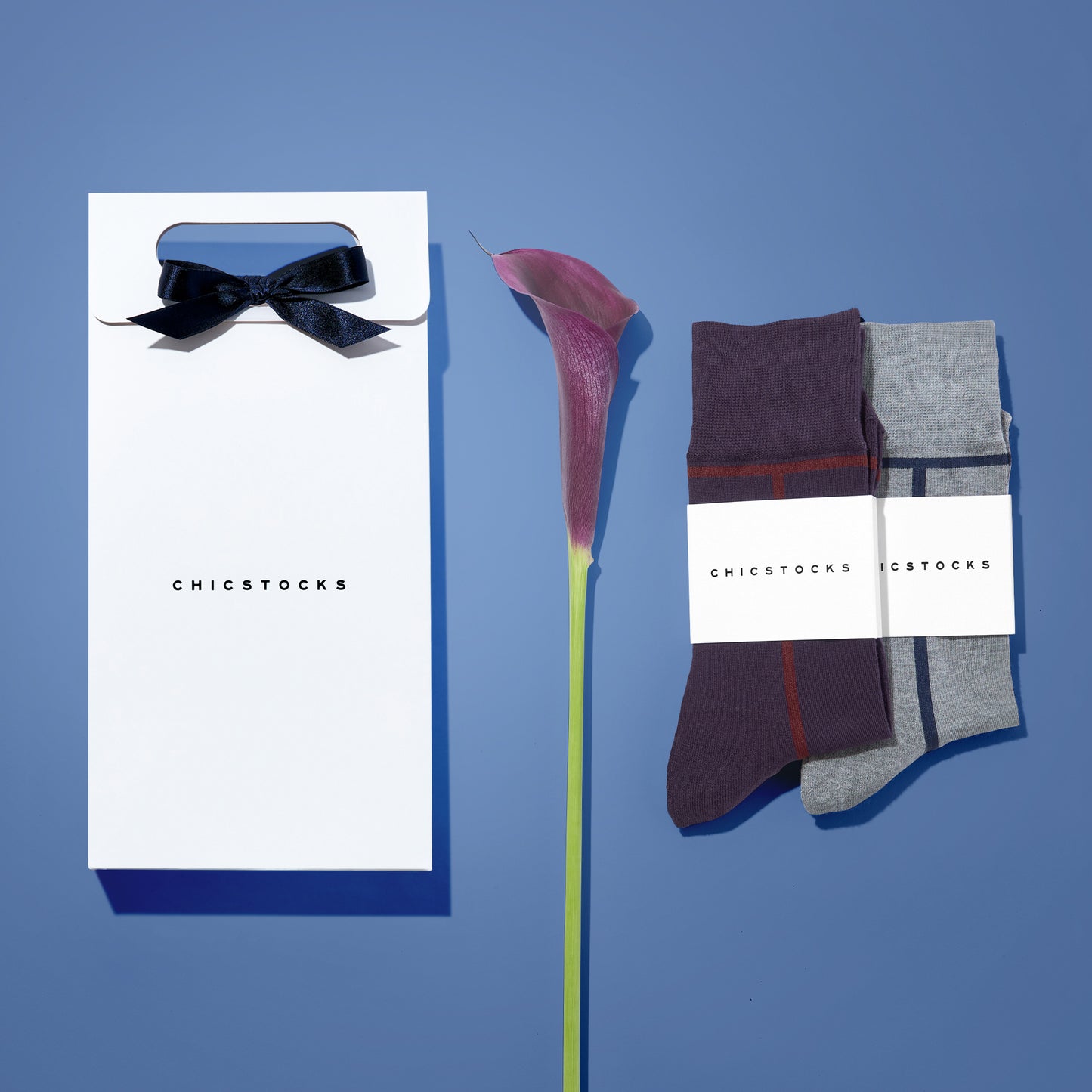 ラインソックス 2足ギフトバッグ 全8色