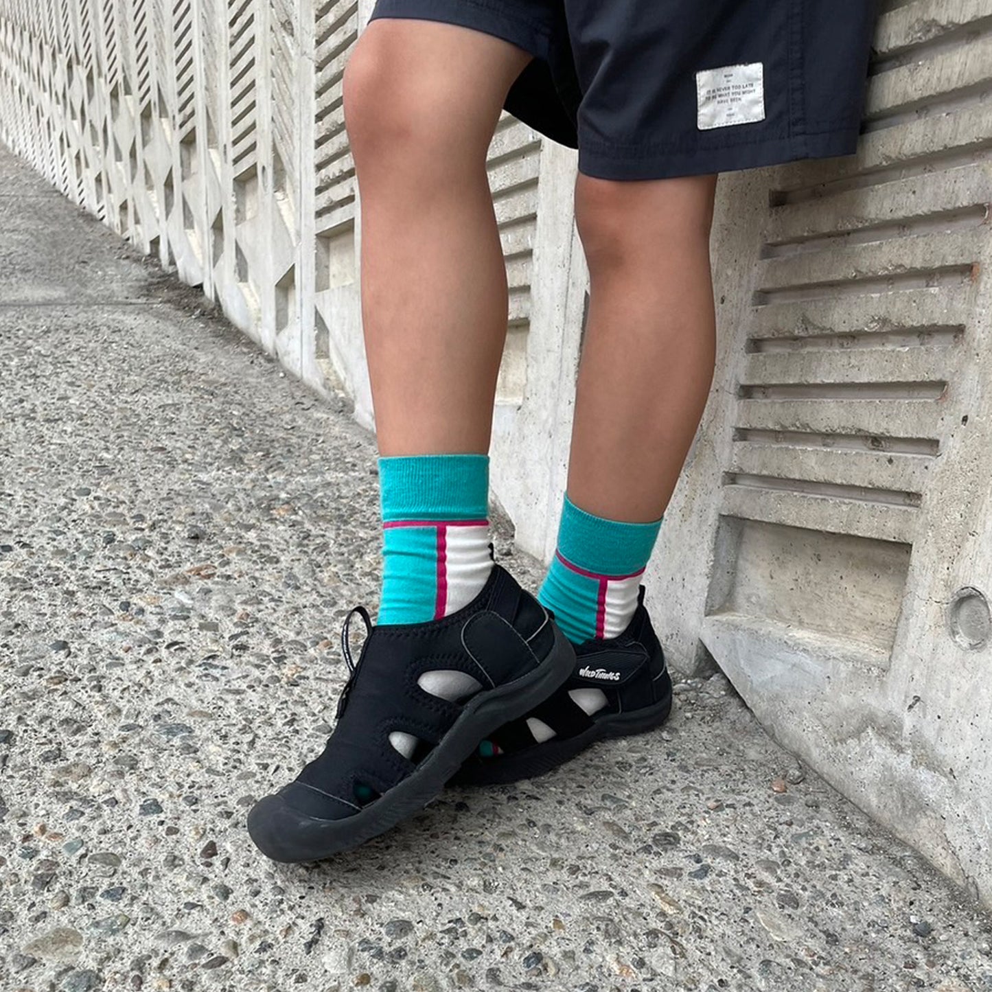 はやぶさ こまち かがやき ラインソックス 全3色/S-L・キッズ