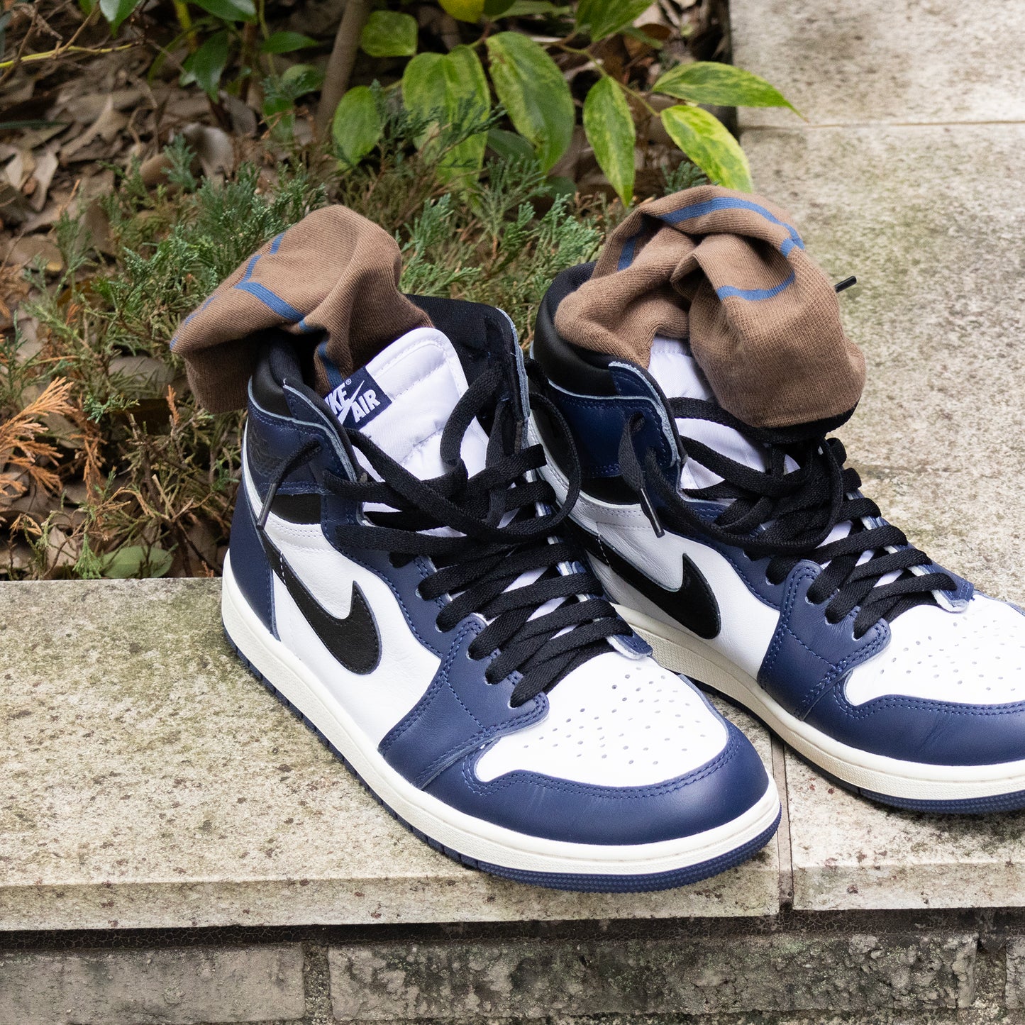 ラインソックス 2足ギフトバッグ 全8色