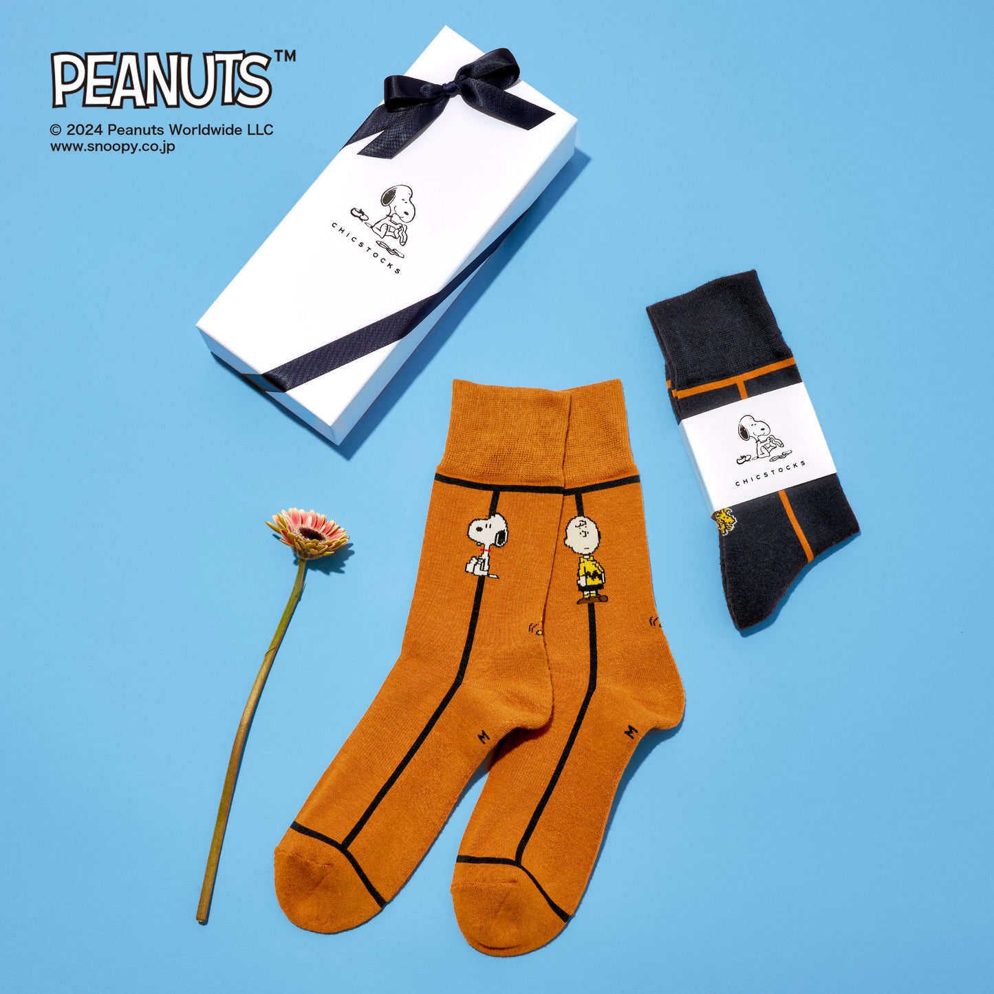 SNOOPY×CHICSTOCKS  2足ギフトボックス   全8種類