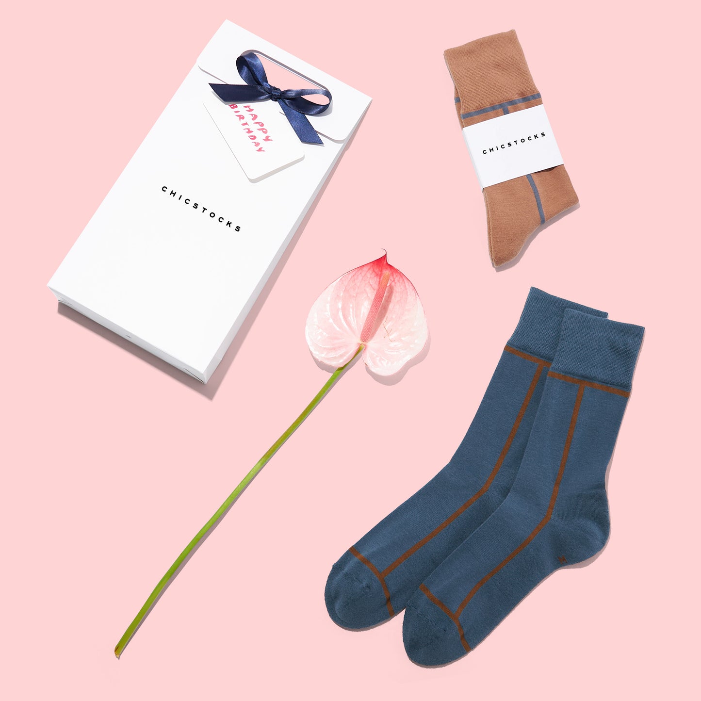 ラインソックス 2足ギフトバッグ 全8色