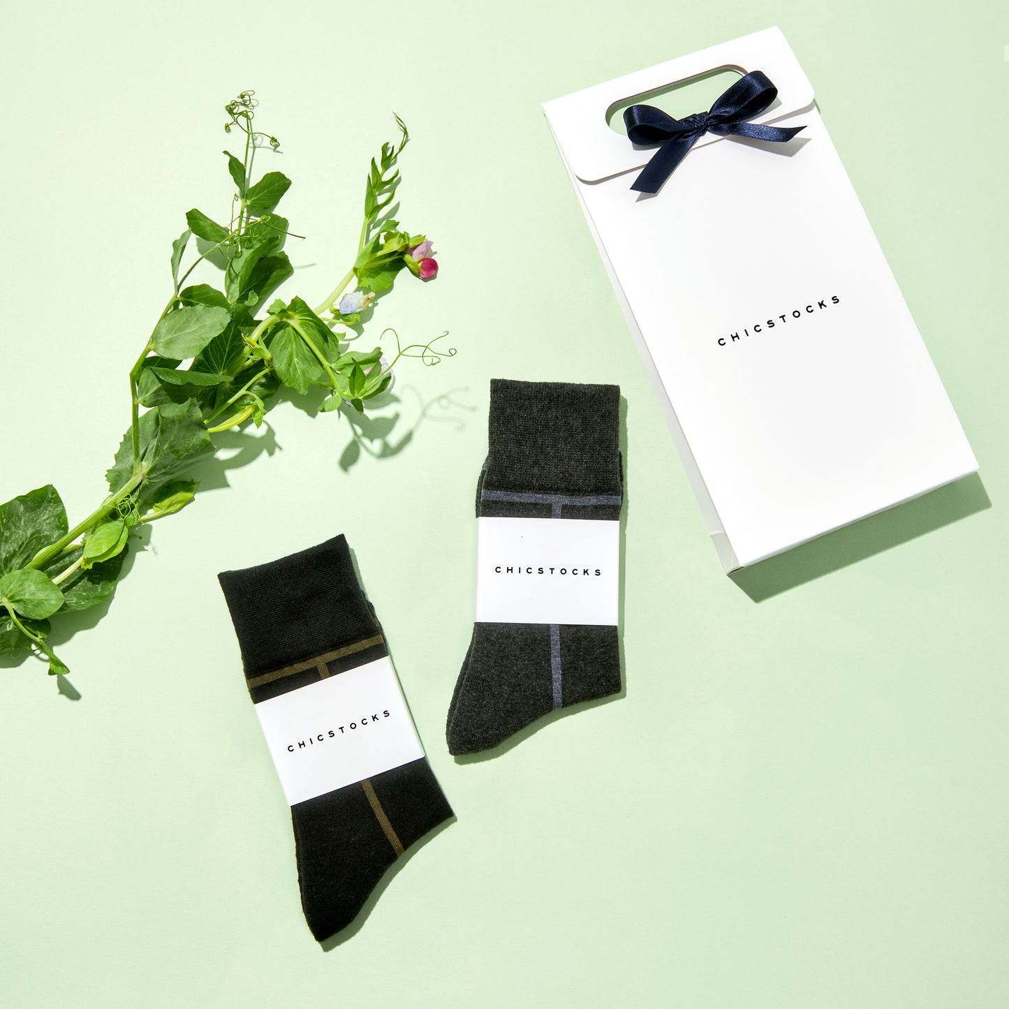 ラインソックス 2足ギフトバッグ 全8色