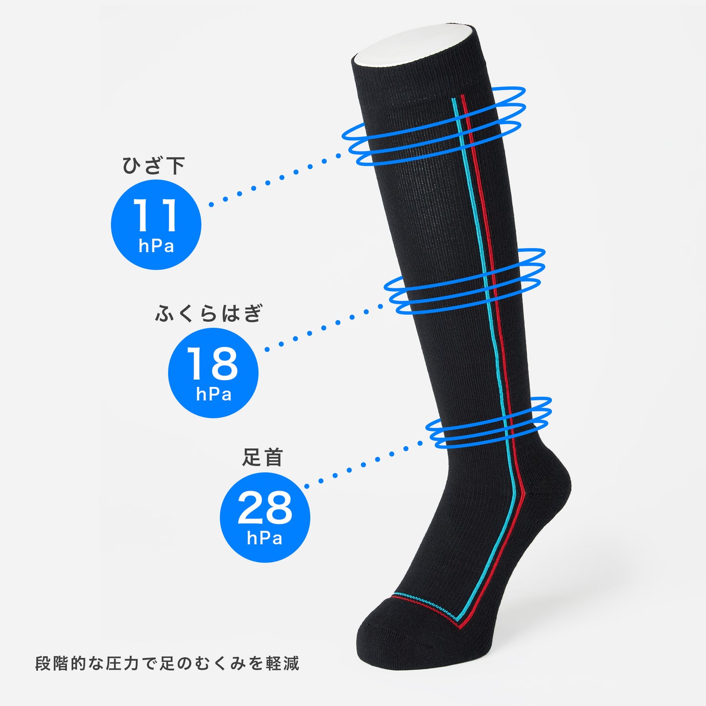 MASATAKA HATTORI ×CHICSTOCKS ドライビングソックス 全2色