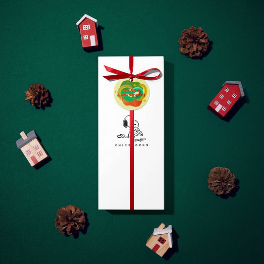 【クリスマス】 SNOOPY ギフトボックス(手提げ付き) 3足まで対応