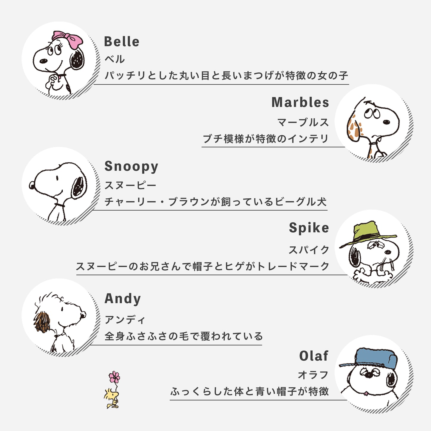SNOOPY×CHICSTOCKS スヌーピー きょうだい