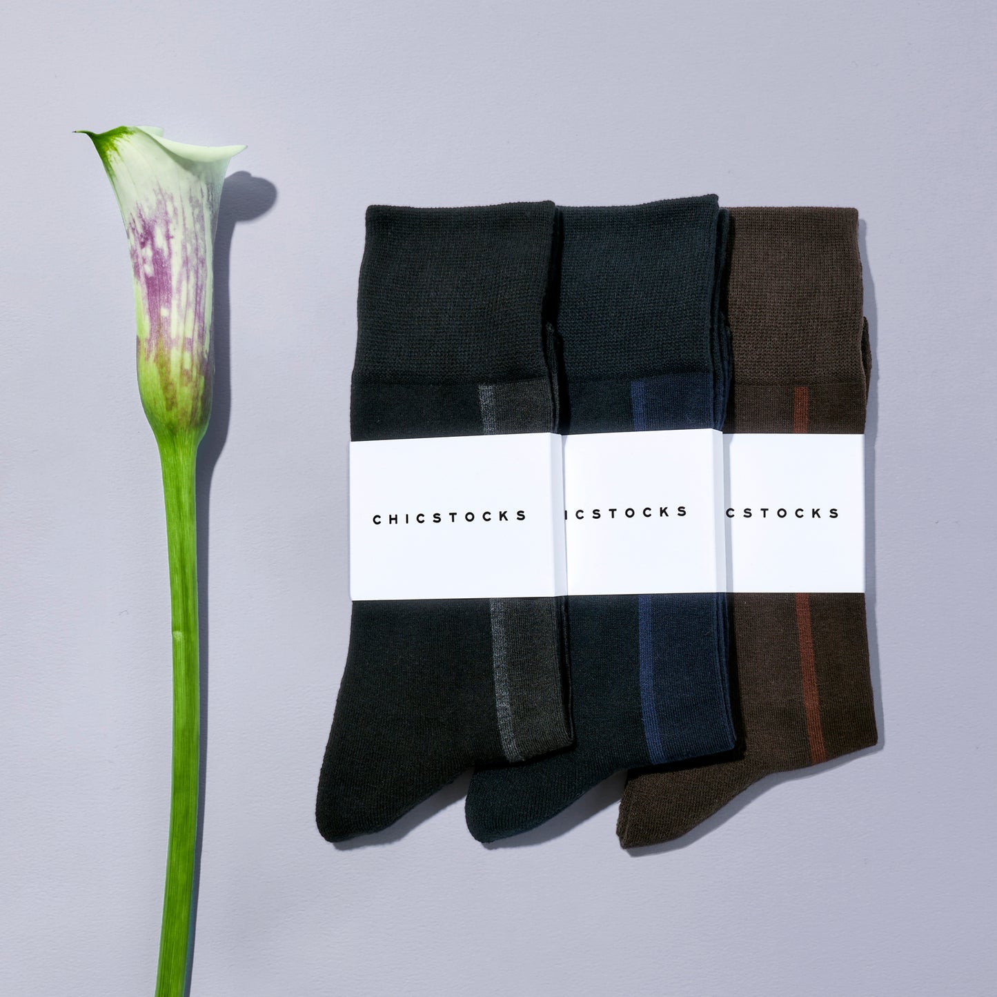 BARNEYS NEWYORK別注  センターライン ソックス  全3色/26-28cm