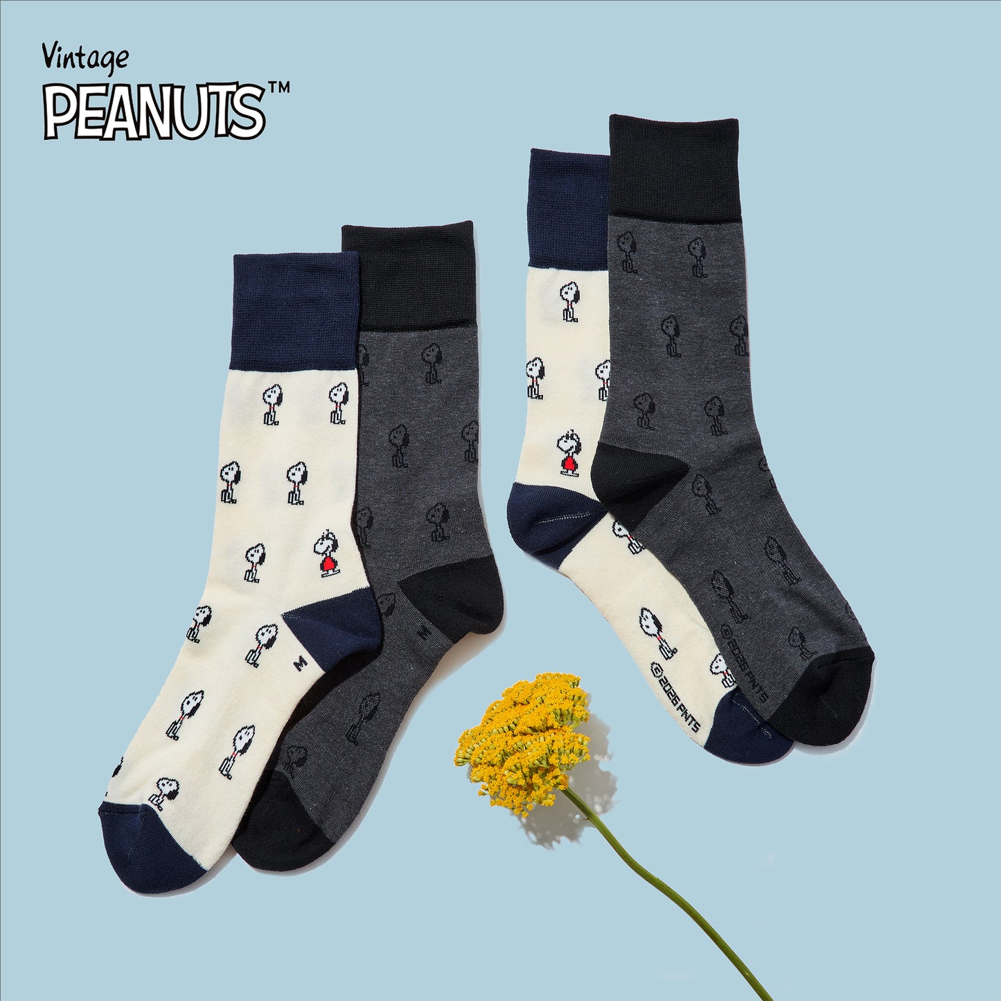 SNOOPY×CHICSTOCKS  パターン  全2色