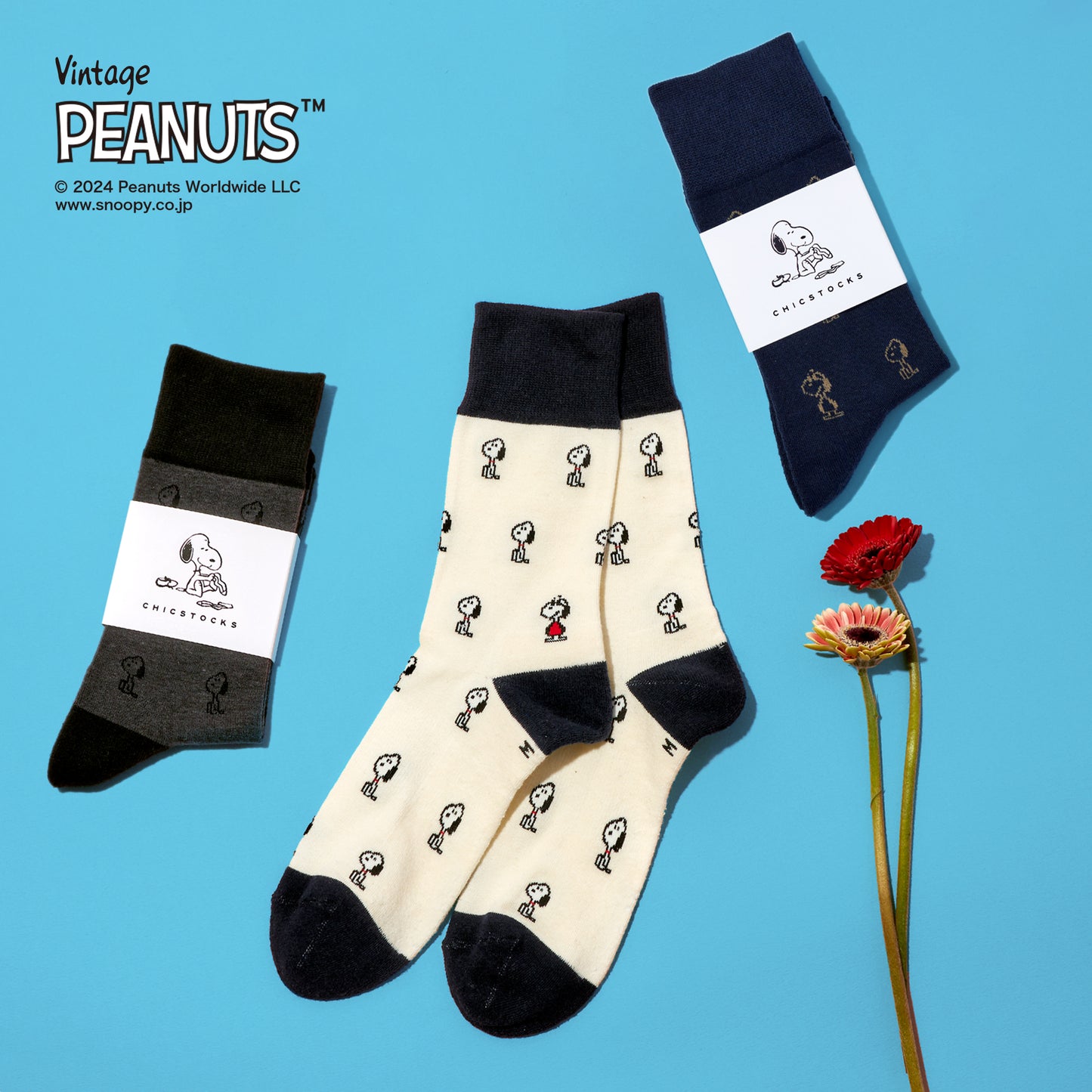 SNOOPY×CHICSTOCKS  パターン  全2色
