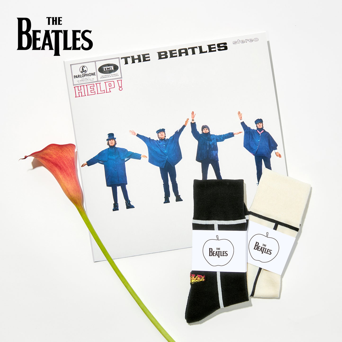【父の日】  THE BEATLES HELP!  2足ギフトセット  全1色/24-26cm・26-28cm