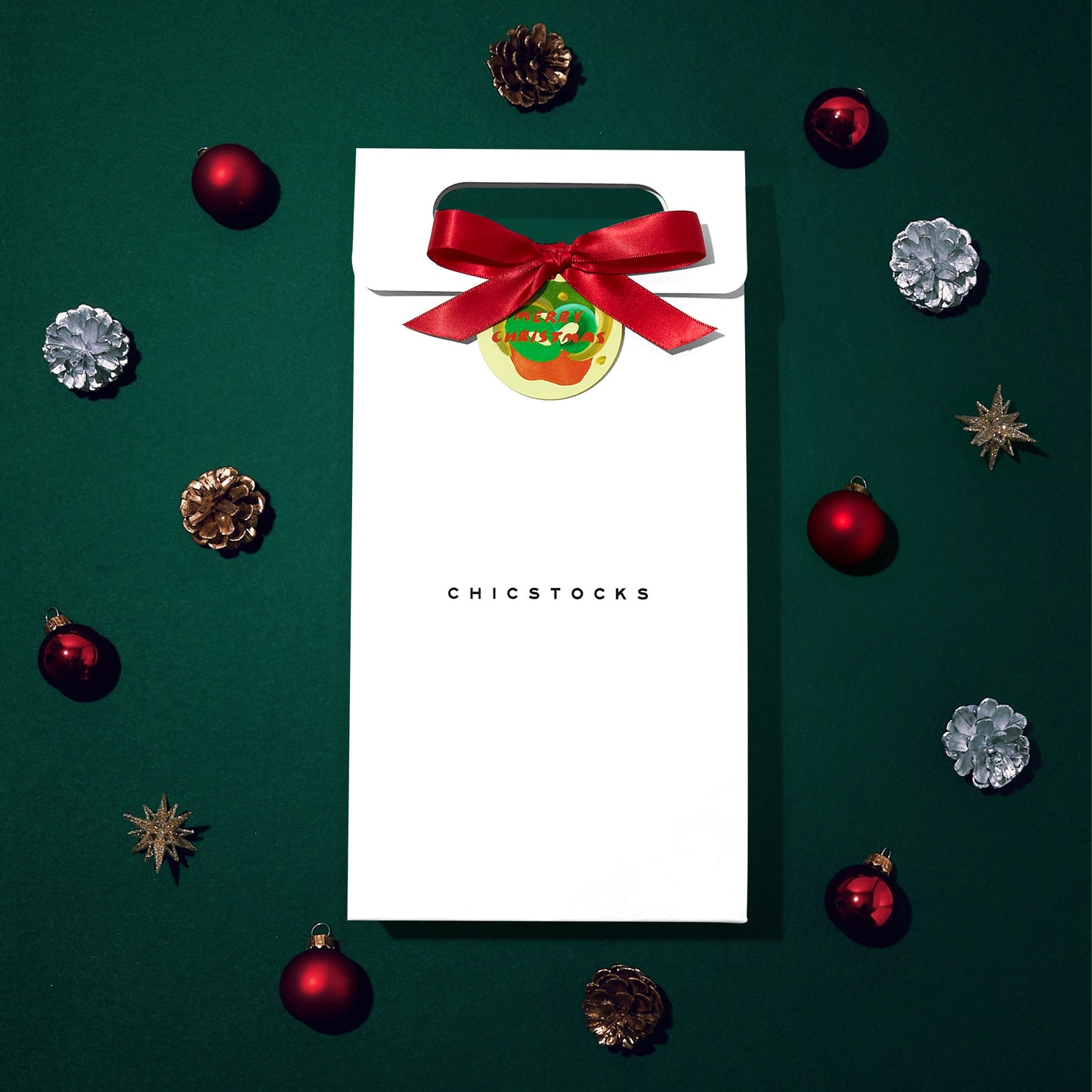 【クリスマス】  ギフトバッグ  2足まで対応