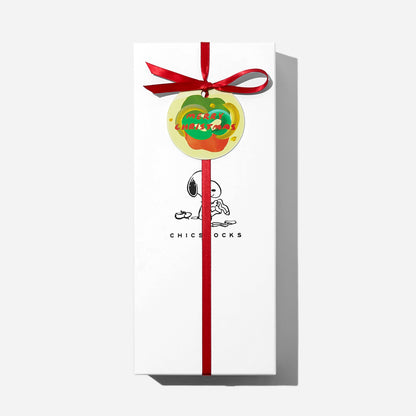 【クリスマス】  SNOOPY ギフトボックス(手提げ付き)  3足まで対応